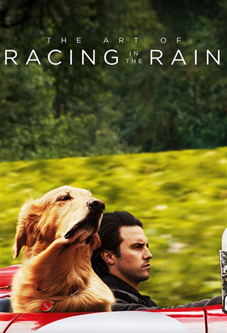  فیلم هنر مسابقه در باران