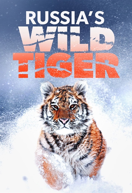Russia's Wild Tiger 2022